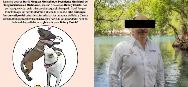 Acusan al alcalde de Tangancícuaro de matar a balazos a dos perritas