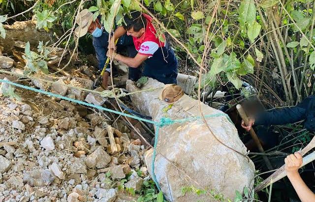 Bomberos de Zitácuaro rescatan a felino atrapado entre piedras