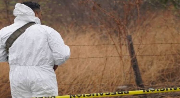 Asesinan a tres cortadores de limón en Tepalcatepec, Michoacán