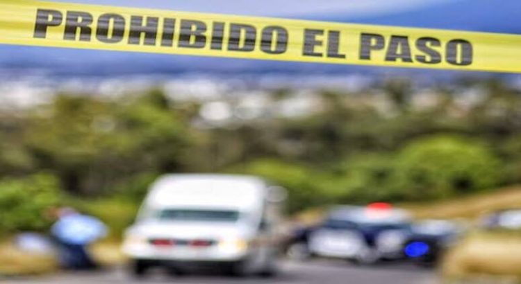 Queman y abandonan a 11 perros cerca de autopista en Michoacán