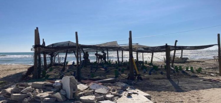 Desaparece campamento tortuguero por huracán ‘Otis’