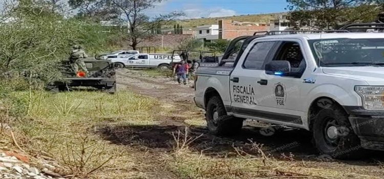 Muere pareja que cuidaba huerta de aguacate en Michoacán