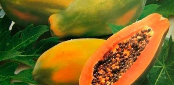 Michoacán, entre los principales productores de papaya en México