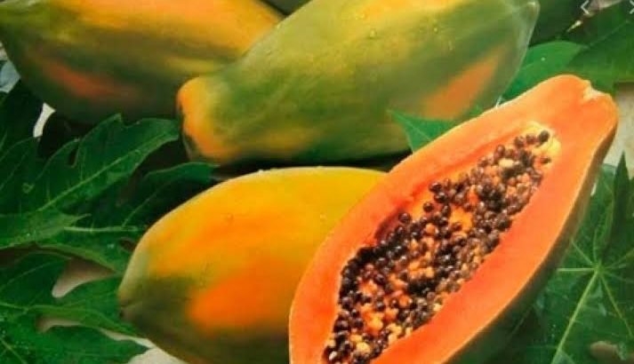 Michoacán, entre los principales productores de papaya en México