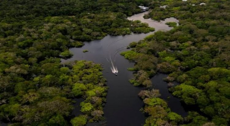 Michoacán destina inversión millonaria para el cuidado del medioambiente