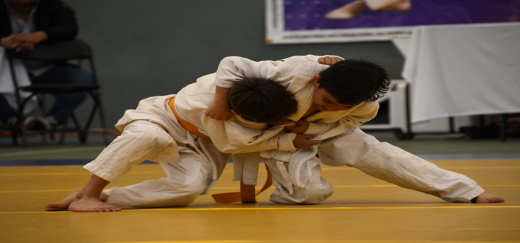 Clasifican 17 menores del DIF Michoacán a nacionales de judo