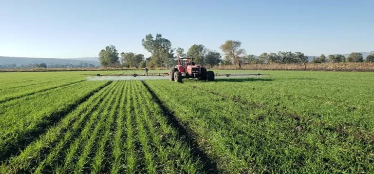 Michoacán lidera lista de exportaciones en el sector agrícola Michoacán lidera lista de exportaciones en el sector agrícola