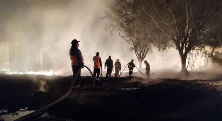 15 incendios de pastizales se tuvieron en marzo