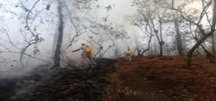 Sofoca Brigada Municipal incendio en el Cerro del Tecomate