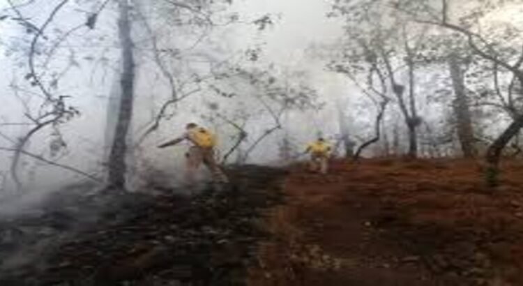 Sofoca Brigada Municipal incendio en el Cerro del Tecomate