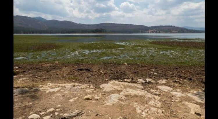 Marina va por el rescate del Lago Pátzcuaro, Michoacán