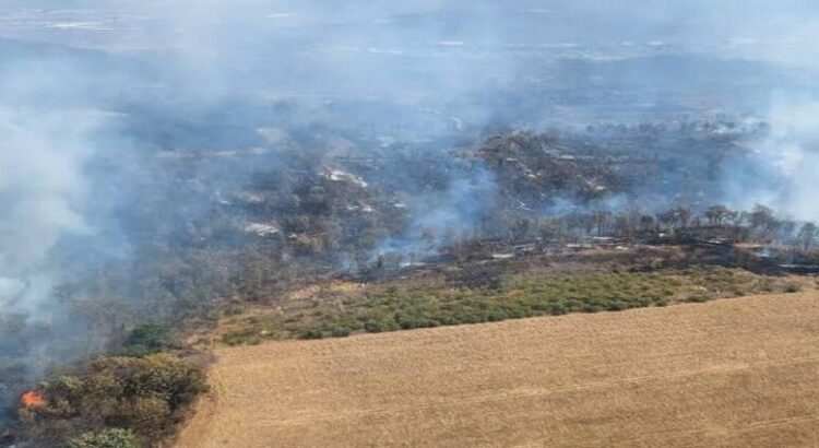 Hay 10 incendios forestales activos en Michoacán