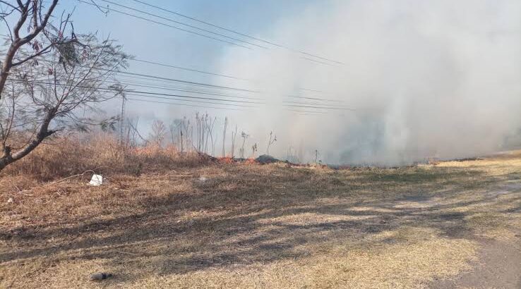 Incendio de pastizal moviliza a Bomberos