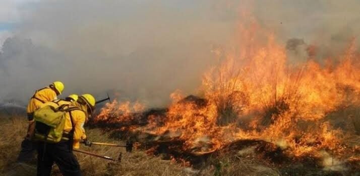 Muere brigadista al combatir incendio forestal en Tuxpan, Michoacán