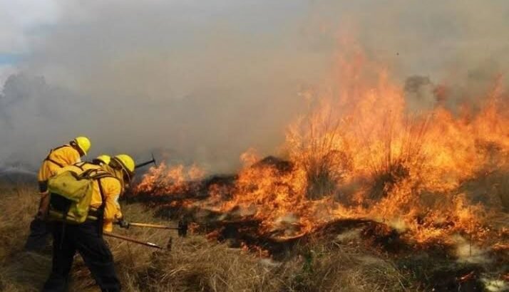 Muere brigadista al combatir incendio forestal en Tuxpan, Michoacán
