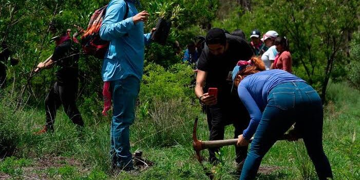 Brigada Civil de reforestación reforestará 4 hectáreas en Lechiguillas