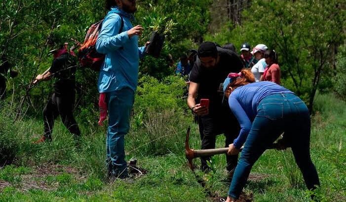 Brigada Civil de reforestación reforestará 4 hectáreas en Lechiguillas