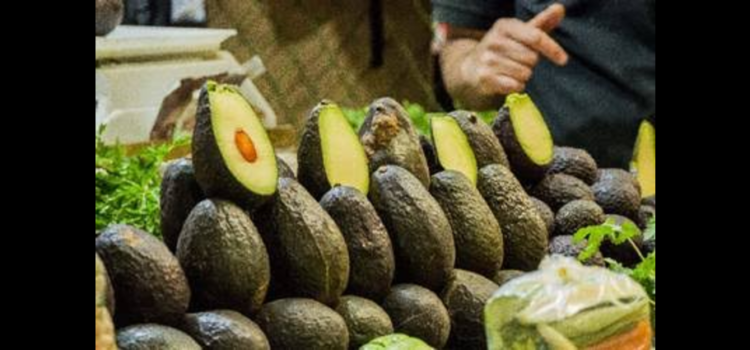 Aguacateros jaliscienses pueden solventar los pedidos vetados a Michoacán