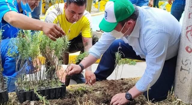 Ambientalistas inician reforestación urbana y suburbana