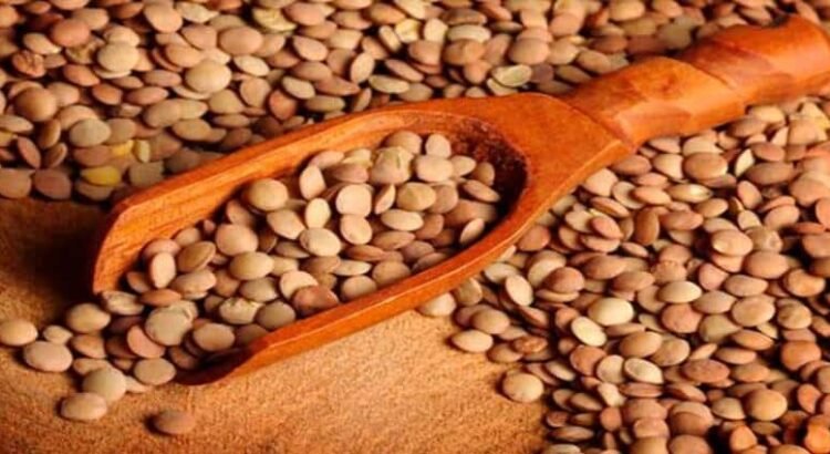 Michoacán, el gran abastecedor de lenteja del país