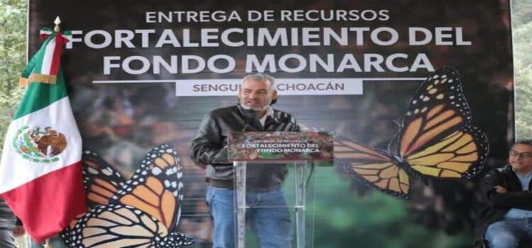 Gobierno de Michoacán celebra que EU asuma responsabilidad del cuidado de la mariposa monarca