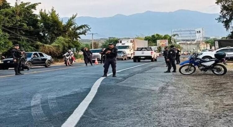 Detienen a 7 presuntos extorsionadores de limoneros en Apatzingán, Michoacán