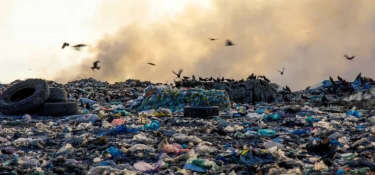 Sin control la generación de basura en la ciudad