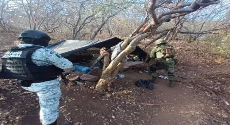 Ejército desmantela dos ‘narcocampamentos’ en Michoacán