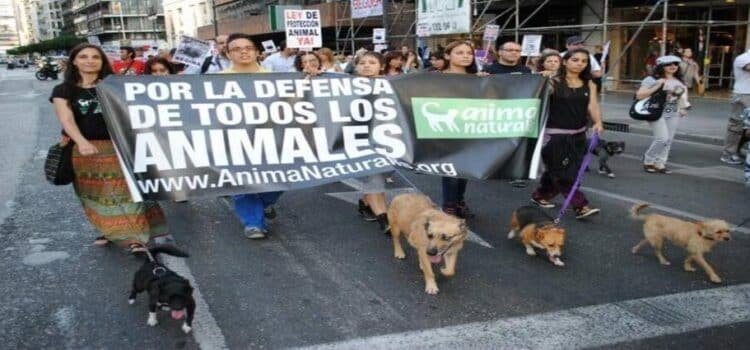 Aumentó 100% crueldad animal cometida por menores de edad, desde el 2018 Aumentó 100% crueldad animal cometida por menores de edad, desde el 2018