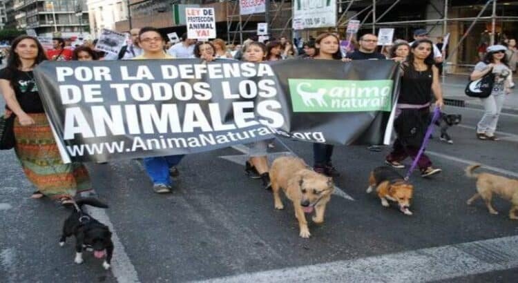 Aumentó 100% crueldad animal cometida por menores de edad, desde el 2018