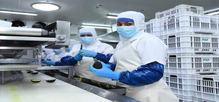 Michoacán, entre los 10 estados con más generación de empleo
