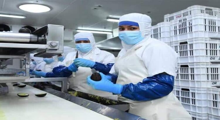 Michoacán, entre los 10 estados con más generación de empleo