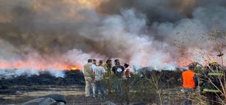 Agricultura de Michoacán en riesgo por incendios forestales Agricultura de Michoacán en riesgo por incendios forestales