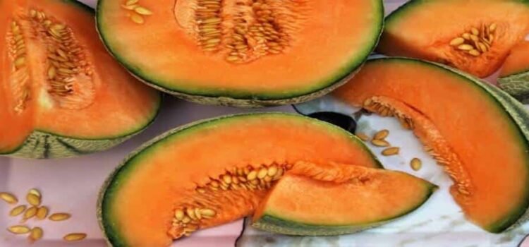 Michoacán listo para enviar 800 mil cajas de melón a Estados Unidos y Canadá