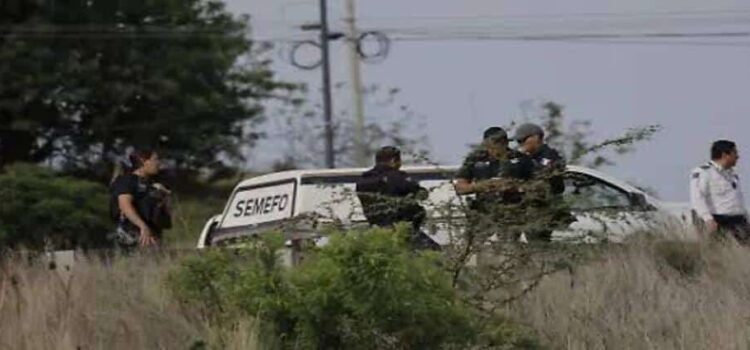 Abandonan 4 cuerpos en diferentes puntos de Cuitzeo, Michoacán
