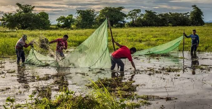 Se suma Alianza por la Conserva del Bosque, Suelo y Agua A.C. a visión cero