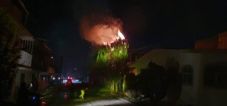 Incendio de 3 árboles por corto circuito de cableado público