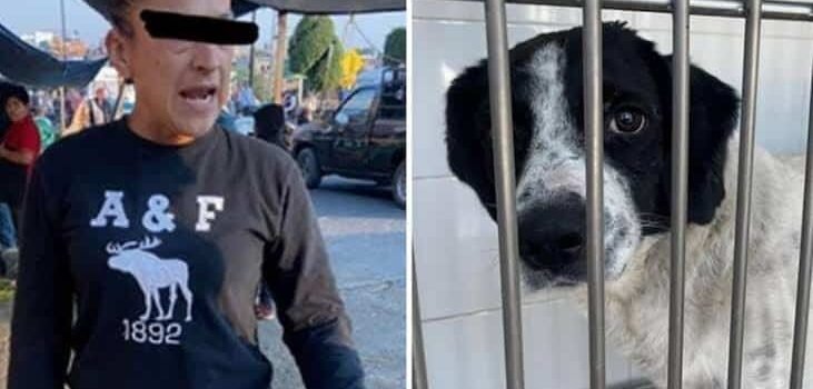 Detienen a mujer acusada de atacar con un machete a un perro en Michoacán