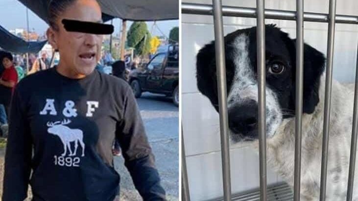 Detienen a mujer acusada de atacar con un machete a un perro en Michoacán
