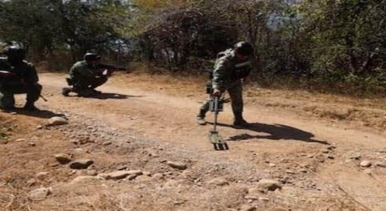 Juez da ultimátum de 48 horas al gobierno federal y de Michoacán para quitar minas terrestres