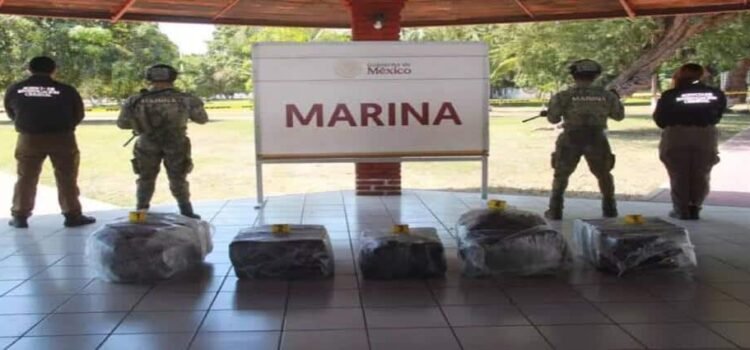 Aseguran 300 kilos de cocaína en el puerto de Lázaro Cárdenas, Michoacán