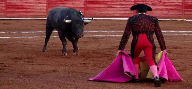 Veto a corridas de toros en Michoacán ya fue aprobado, pero no ha entrado en vigor Veto a corridas de toros en Michoacán ya fue aprobado, pero no ha entrado en vigor
