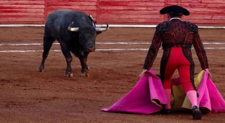 Veto a corridas de toros en Michoacán ya fue aprobado, pero no ha entrado en vigor