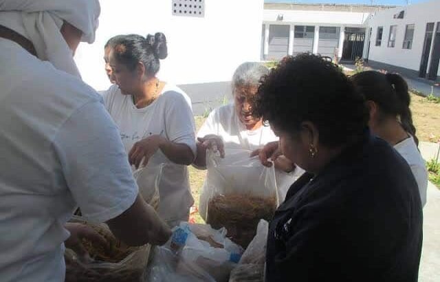 Privadas de la libertad cultivan setas en penitenciaria de Zitácuaro