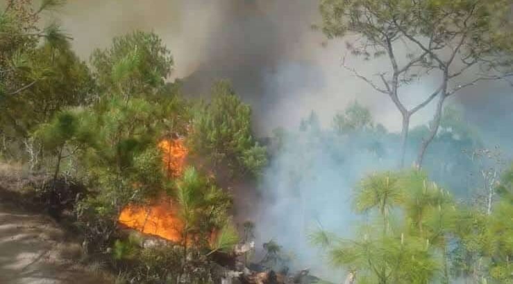 Siguen los incendios forestales en el municipio