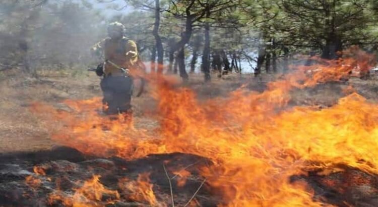 Michoacán, el sexto estado con más superficie afectada por incendios forestales