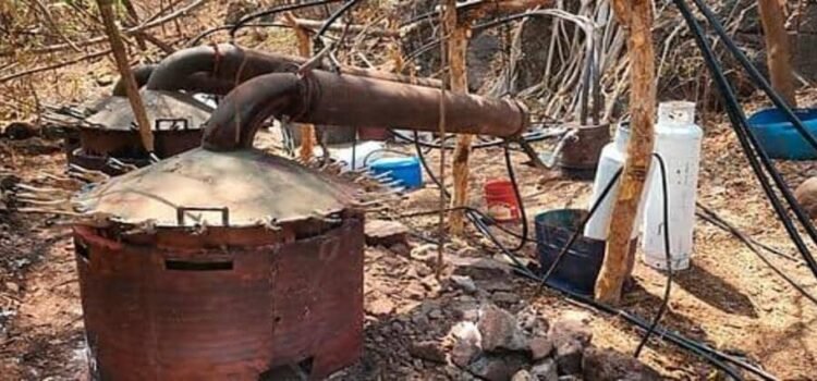Destruyen otro laboratorio de droga en las últimas 24 horas en Michoacán