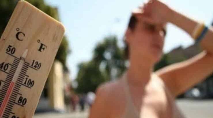 En alerta SADER por el intenso calor