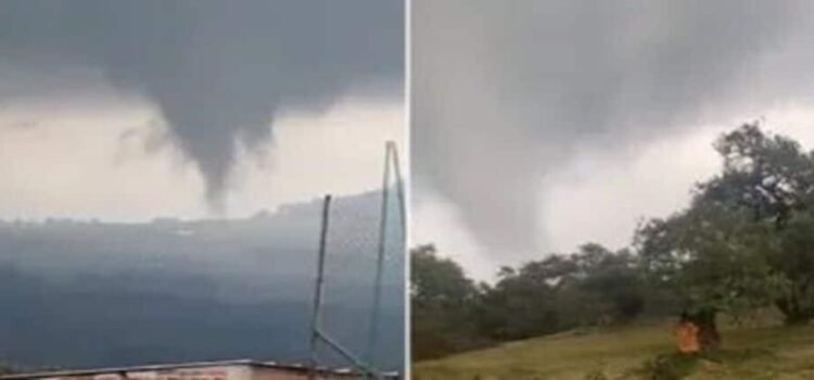 Se forma un tornado en Michoacán; tira árboles y vuela techumbres
