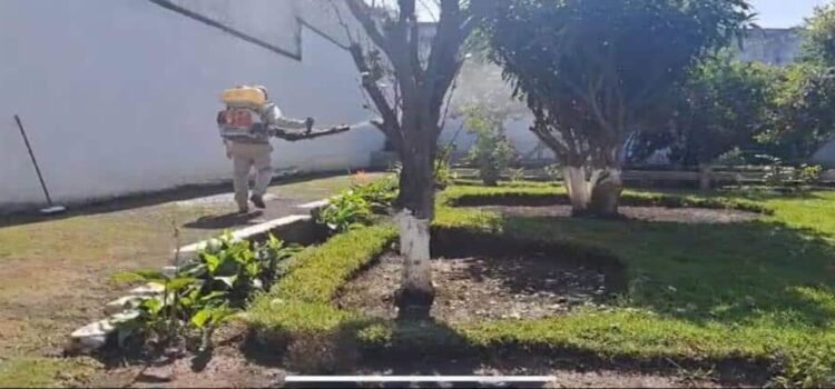 Protegidos contra el dengue más de un millón de michoacanos